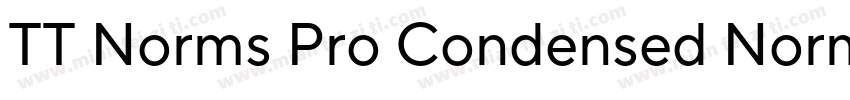 TT Norms Pro Condensed Normal字体转换